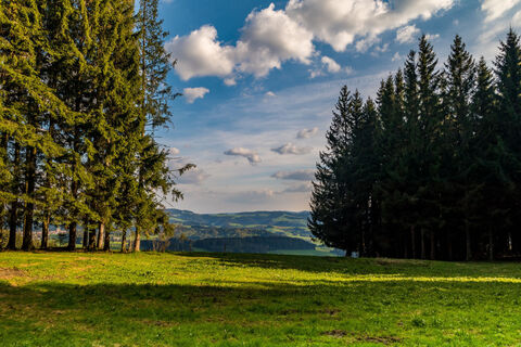 Landschaft bei St Peter Lichtung in der Nähe zum Kandel