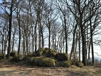 Foto von josef duermoser entlang der Tour