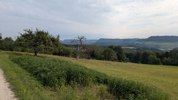 Foto von Django Bosch entlang der Tour