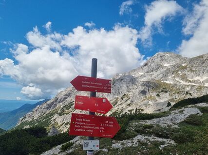 Zdjęcie z Grizli wzdłuż trasy