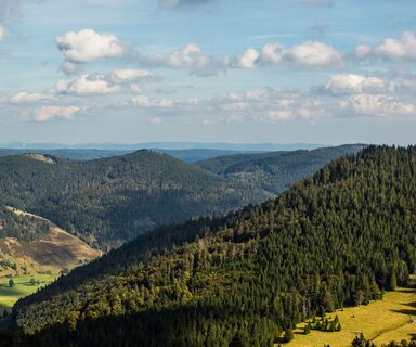 Herzogenhorn