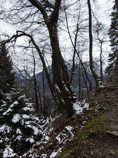 Zdjęcie z Guido Lovati wzdłuż trasy