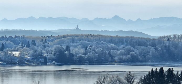 Photo de garrincha le long du parcours