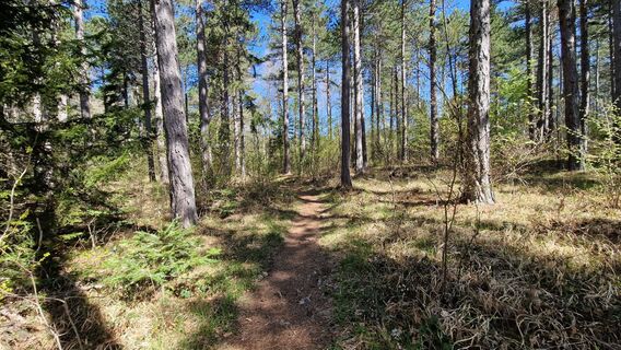Photo de EP87 le long du parcours
