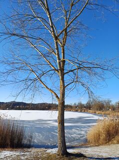 Foto von Renate Sighartner entlang der Tour