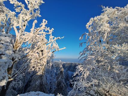 Photo de Bernadette Erla le long du parcours