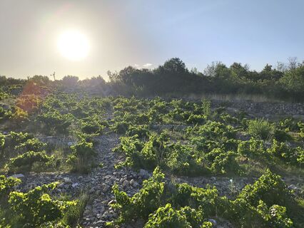 Fotografia z WilliSt na trase