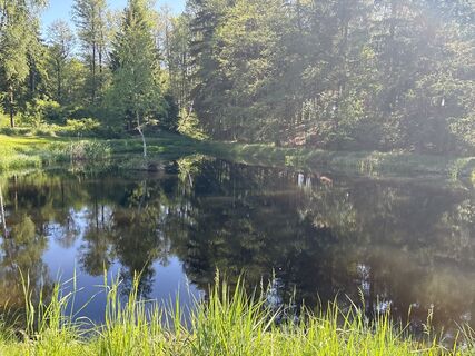 Fotografija s spletne strani Monika Allinger na poti