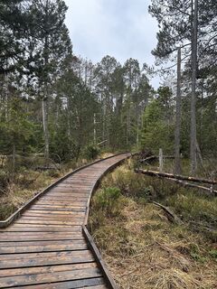 Foto de Babs Holz a lo largo del recorrido