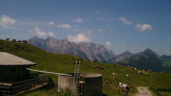 Schnappenalm Region St. Johann in Tirol Kirchdorf in Tirol