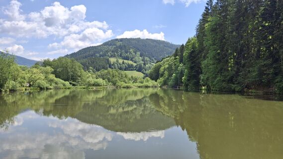 Foto von Monika Wirth entlang der Tour
