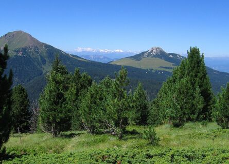 Blick zu Schwarzhorn und Weisshorn