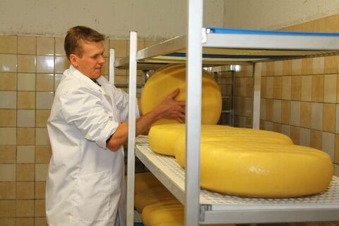 Käsereifung in der Ferme-Auberge du Baerenbach