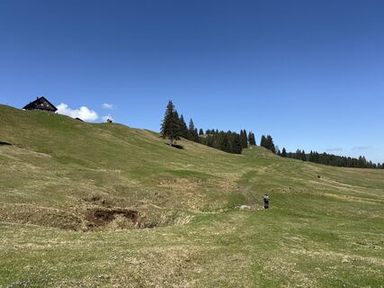 Foto de Similaun a lo largo del recorrido