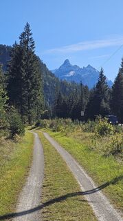 Foto de Rotwild a lo largo del recorrido