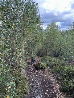 Zdjęcie z Kerstin Limper wzdłuż trasy