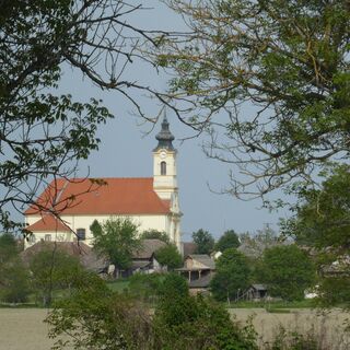 Hercegszantó