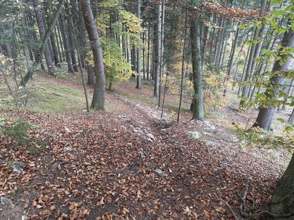 Foto von firebird 93 entlang der Tour