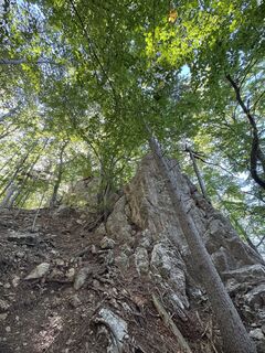 Фото с сайта Gerhard Piglmann во время экскурсии