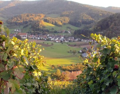 Glottertal am Schlossberg