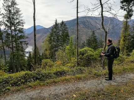 Wanderweg zur Rotmäuer mit Blick nach Weyer/Kastenreith