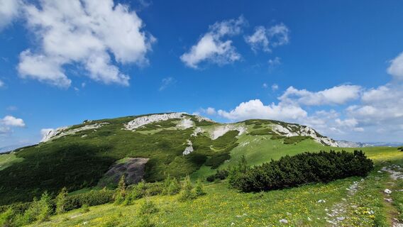 Foto fra EP87 underveis på turen
