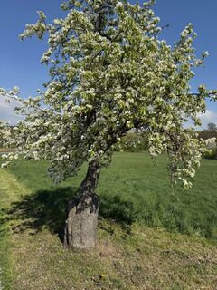 Foto von Christian H. entlang der Tour