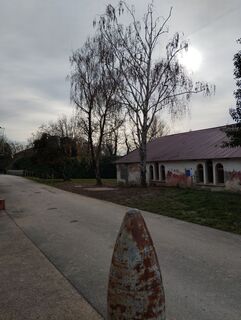 Foto de Stephane Cappellaro a lo largo del recorrido