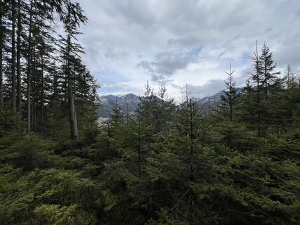 Photo de Anton Gigele le long du parcours