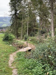 Foto van Ingo Fischer langs de tour