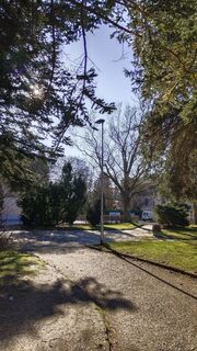 Fotografija s spletne strani Jara D. na poti