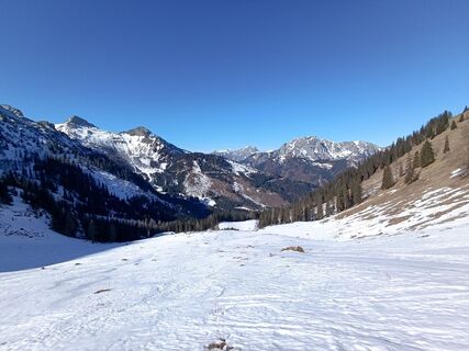 Foto från rotbaeder under resans gång