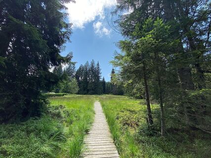 Fohramoos Bödele