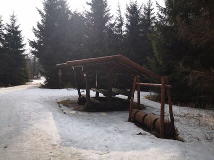 Photo de Denis Trapp 1 le long du parcours