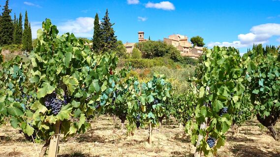 Montouliers_-_E_Brendle_12
