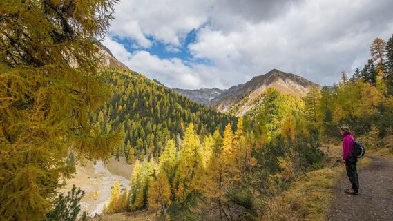 Herbstliche Aussicht vom Höhenweg in der Val Trupchun Richtung Piz Fier