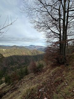 Foto von Christian Fast entlang der Tour
