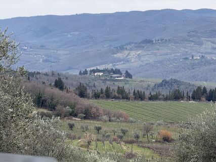 Foto von Nina in Chianti entlang der Tour