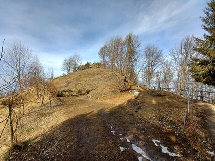 Foto da Daniele Spezia lungo il tour