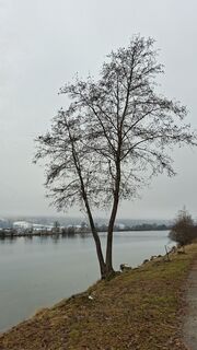 Fotografie z Mangolein na trase