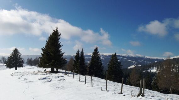 Blick von der Gmoa-Alm auf die Hirschegger-Alm