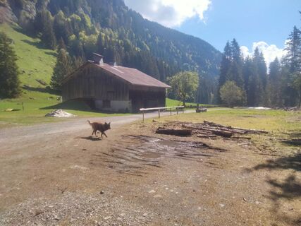 Photo de Delpyalain73 le long du parcours