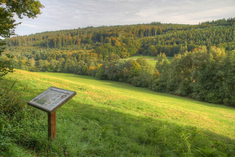 Historische Wässerwiesen im Moosalbtal