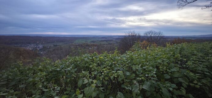 Foto von Martbaer entlang der Tour