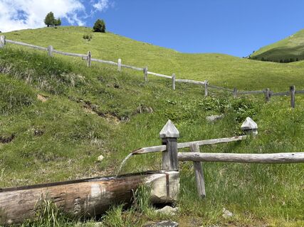 Photo de Tizianodonina1961 le long du parcours