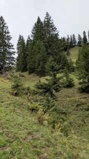 Fotografia z Kevin Würth na trase