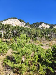 Fotografia z Kovacsmarcii2 na trase