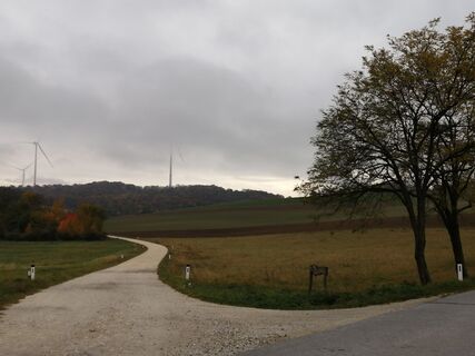 Foto von Lorenz Schaffer entlang der Tour