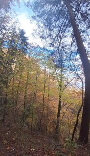 Fotografia z Buchegger Barbara na trase