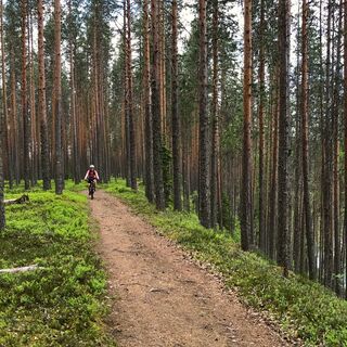 Mountainbiker auf der Pogosta-Strecke